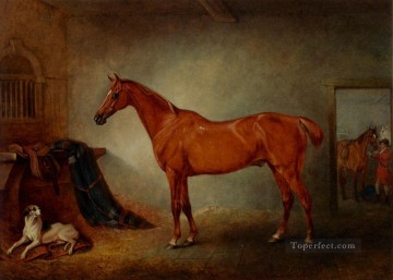 horse cats Painting - Firebird And Policy horse John Ferneley Snr